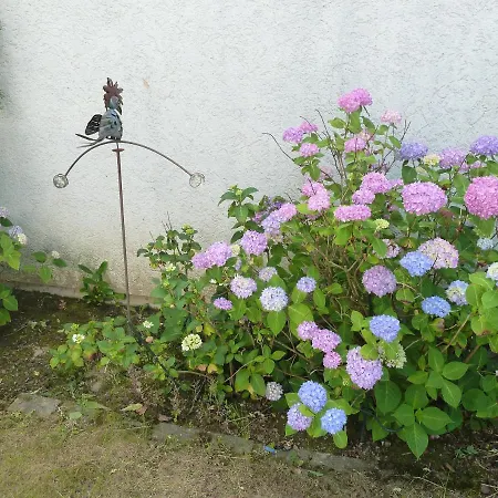 Garteneckchen Emmendingen